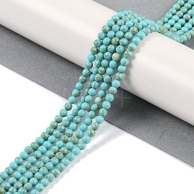 Synthetic Turquoise Beads Strands G-U004-02E-1