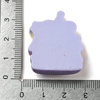 Birthday Theme Opaque Resin Decoden Cabochons CRES-F032-A02-1