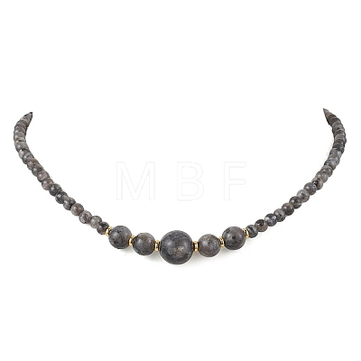Natural Larvikite Round Graduated Beaded Necklaces NJEW-JN05654-03-1