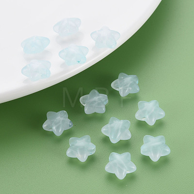 Transparent Acrylic Beads MACR-S373-26E-07-1