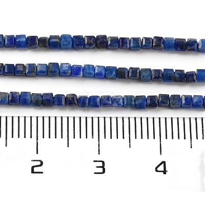 Natural Lapis Lazuli Beads Strands G-H042-B42-01-1