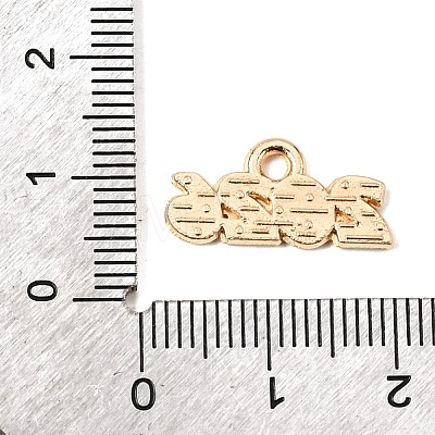 Alloy Enamel Pendants ENAM-D319-01KCG-03-1