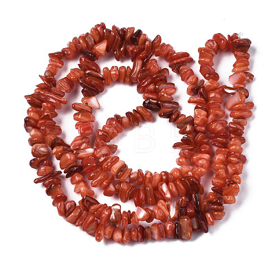 Natural Freshwater Shell Beads Strands SHEL-S278-070C-1