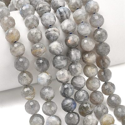 Natural Labradorite Beads Strands G-L642-F07-8mm-1
