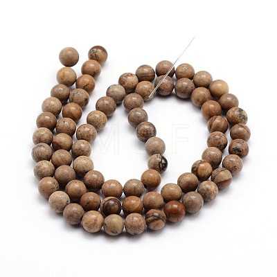 Natural Picture Jasper Round Bead Strands G-J303-08-12mm-1