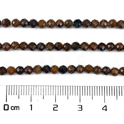Natural Tiger Eye Beads Strands X-G-M399-03C-01-1