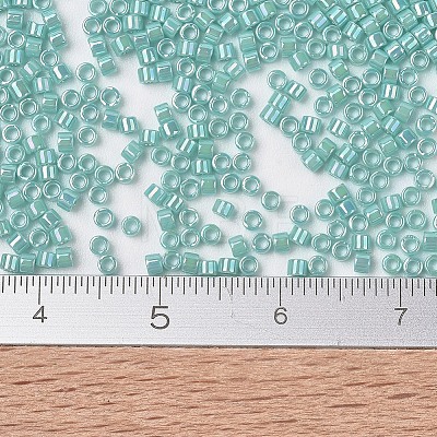 MIYUKI Delica Beads X-SEED-J020-DB1576-1