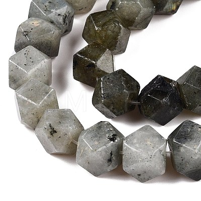 Natural Labradorite Beads Strands G-T138-37-1