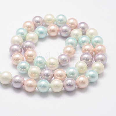 Shell Pearl Bead Strands X-BSHE-L017-10-1