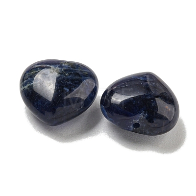 Natural Sodalite Beads G-P531-A10-01-1