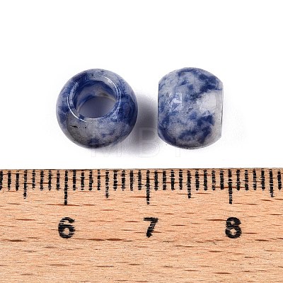 Natural Blue Spot Jasper Beads G-T092-10mm-11-1