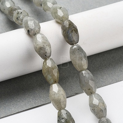 Natural Labradorite Beads Strands G-P520-C08-01-1