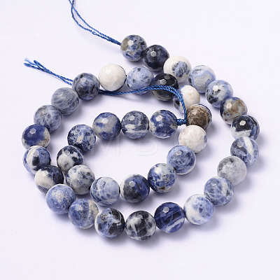Faceted Natural Sodalite Round Bead Strands G-L377-45-10mm-1
