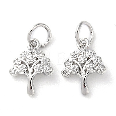 Rack Plating Brass Micro Pave Clear Cubic Zirconia Charms KK-D097-05P-1