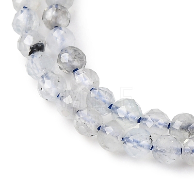 Natural Aquamarine Beads Strands G-F509-10-3mm-1