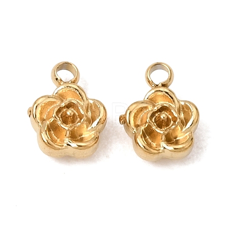 304 Stainless Steel Charms SA-CBABF3F-13G-09-1