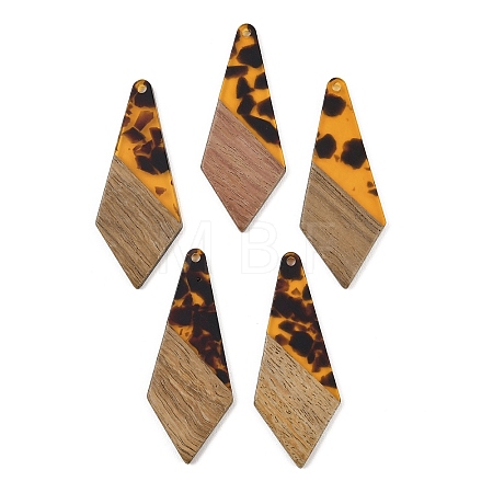 Transparwnt Resin & Walnut Wood Pendants RESI-I354-03C-1