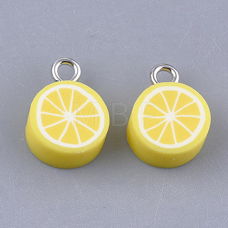 Handmade Polymer Clay Charms CLAY-S091-101-1
