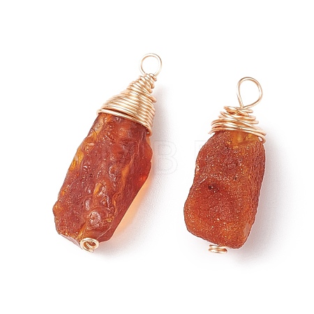 Natural Amber Pendants PALLOY-JF01827-02-1