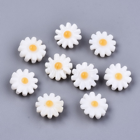 Natural Freshwater Shell Beads SHEL-S266-14A-1