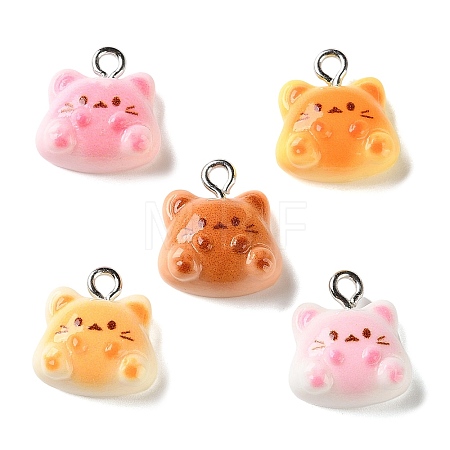 Resin Pendants RE-T001-02-1