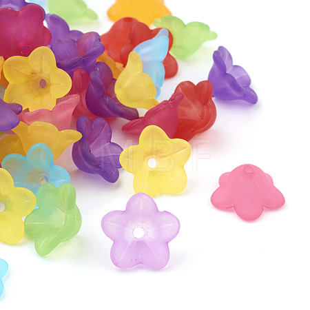 Transparent Acrylic Beads X-PL560M-1