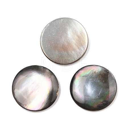 Natural Black Lip Shell Cabochons SSHEL-I026-20D-1