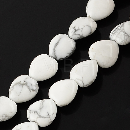Natural Howlite Bead Strands G-R190-21-1