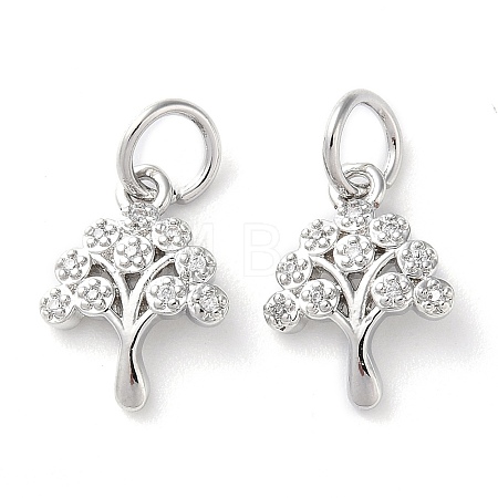 Rack Plating Brass Micro Pave Clear Cubic Zirconia Charms KK-D097-05P-1