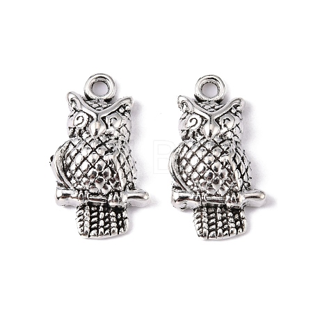 Tibetan Style Alloy Pendants LF10093Y-1