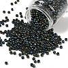 TOHO 6/0 Round Beads X-SEED-TR06-0084-1