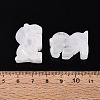 Natural Quartz Crystal Horse Figurine DJEW-N005-01B-4