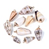 Electroplate Natural Spiral Shell Pendants SSHEL-Q100-31-01KCG-1