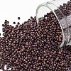 TOHO Round Seed Beads SEED-JPTR15-0703-1