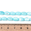 Natural Trochus Shell Beads Strands SHEL-K006-19-01B-4