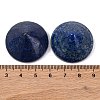 Natural Lapis Lazuli Dyed Cabochons G-Q184-01G-3