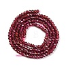 Natural Garnet Beads Strands G-F770-D02-02-3