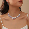Alloy Rhinestone Teardrop Tassel Necklaces & Stud Earrings Sets FS-WG9D3B7-01-2