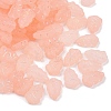 Frosted Transparent Acrylic Beads X1-OACR-P029-04B-03-2