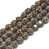 Natural Snowflake Obsidian Beads Strands G-S300-101-8mm-1