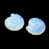 Opalite Conch Display Decorations DJEW-D303-01D-2