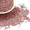 Electroplate Glass Seed Beads SEED-S042-01B-14-1