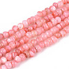 Natural Freshwater Shell Dyed Beads Strands SHEL-T020-29B-06-1