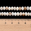 Natural Freshwater Shell Beads Strands SHEL-C010-04A-01-4