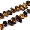 Natural Tiger Eye Beads Strands G-Z091-A21-4