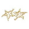Alloy Big Pendants X1-FIND-Z095-10G-2