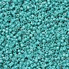 MIYUKI Delica Beads X-SEED-J020-DB0166-3