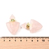 Natural Mixed Stone Perfume Bottle Pendants G-L623-10G-4