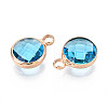 Golden Tone Brass Glass Charms GLAA-ZX008-24B-G-2