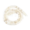 Natural Freshwater Shell  Beads Strands BSHE-H109-07-3